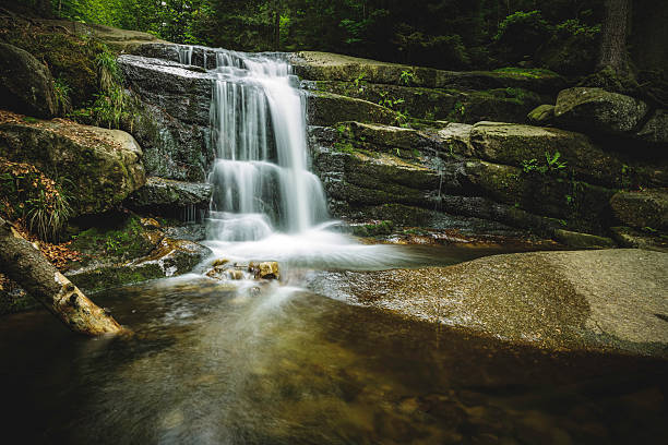istock Peaceful forest waterfall with clear stream and mossy rocks 2225206208