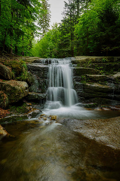 Digital oil painting canvas - mountain stream and waterfall in the forest