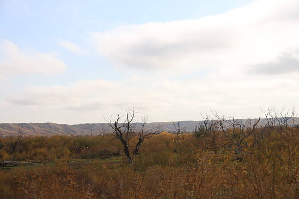Near Canora Saskatchewan the hills are colored up for autumn.