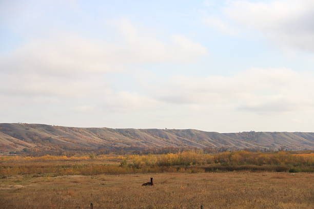 Near Canora Saskatchewan the hills are colored up for autumn.