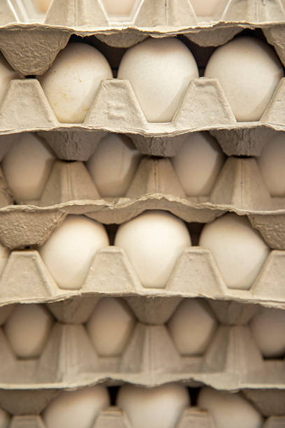 istock Stacks of White Eggs in Recyclable Cardboard Trays Close-Up 2225208574