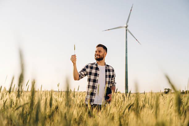 istock Single plant in hand. Guy engineer in wheat field against wind turbines 2225211379