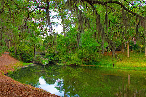 istock Lagoon view with bridge and spanish moss-Hilton Head, South Carolina 2225211708