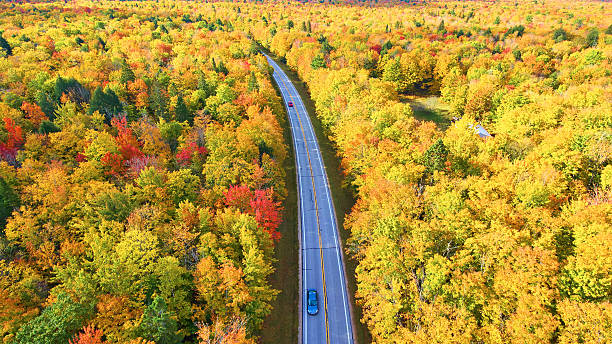 istock Aerial Autumn Drive Through Michigan Forest 2225212127