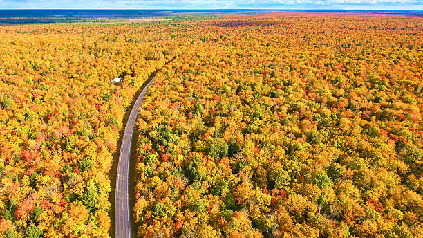 istock Aerial Autumn Forest Canopy with Winding Road and Lone Structure 2225212145