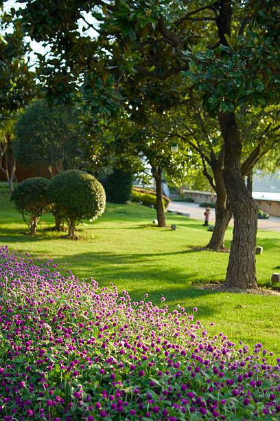 istock City Park Scenery 2225216548