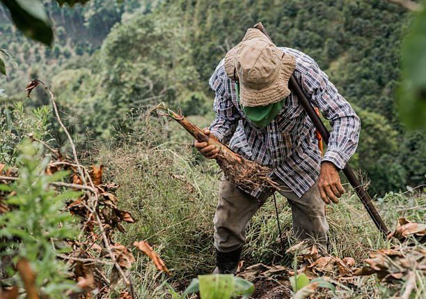 istock Farmer planting seedling in rural hilly terrain. 2225216569