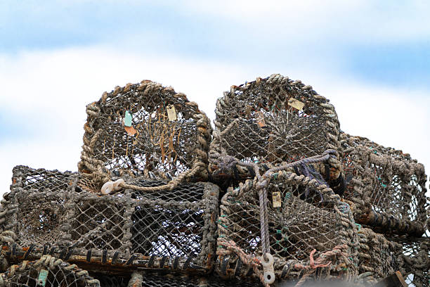 istock Lobster pots on Seahouses quayside, Northumberland 2225217606