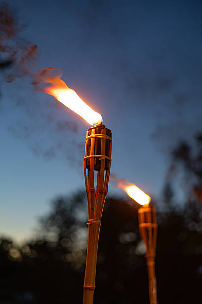 istock Tiki Torches Burning Bright in the Evening Twilight 2225223102