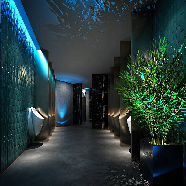 istock 3d render bathroom, closet room, shower wc 2225223148