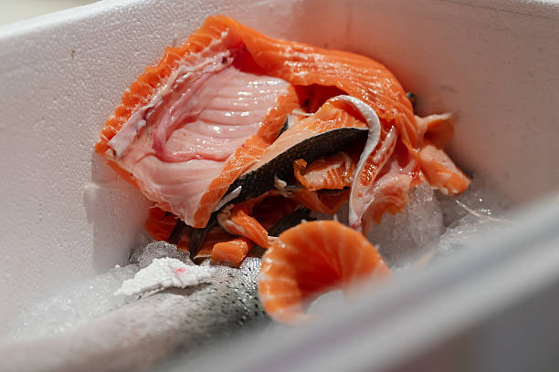 Leftover salmon fish parts placed on crushed ice in a styrofoam box. Discarded salmon fish parts.