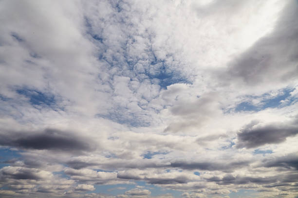 White cumulus clouds high in the sky extending to the horizon, cloudy background, blurred texture of clouds in the blue sky.