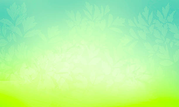 istock Abstract Spotlight Background of Chartreuse and Teal with Leaves and Copy Space 2225228674