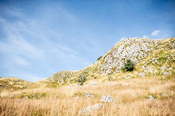 Bright and minimalistic view of a sunlit limestone hill with dry grass and small shrubs, set against a vibrant blue sky. Natural texture and contrast capture the raw beauty of Mediterranean highlands.