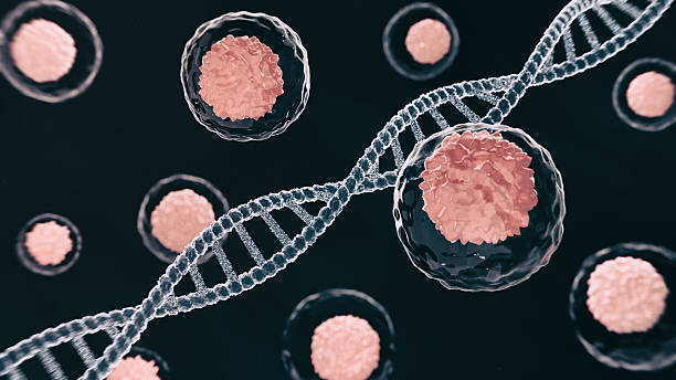 istock 3D illustration of stem cells with visible DNA structures, showcasing advanced biotechnology and genetic research 2225232051