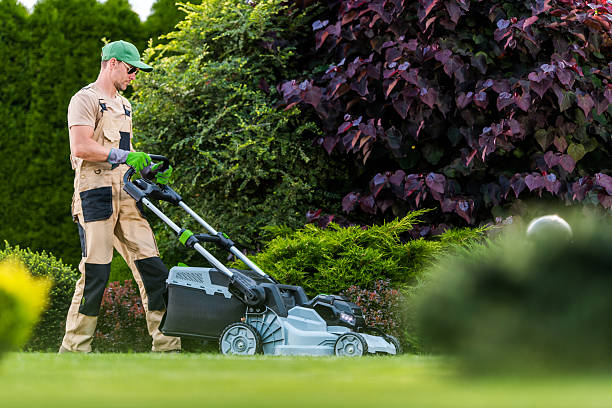 istock Gardener Using a Lawn Mower to Maintain a Vibrant Garden During a Sunny Afternoon 2225232540
