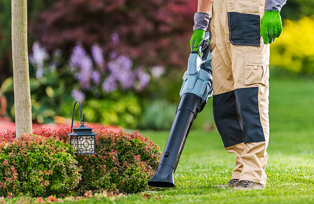 istock Man Using a Leaf Blower in a Well-Maintained Garden During a Sunny Day 2225234493
