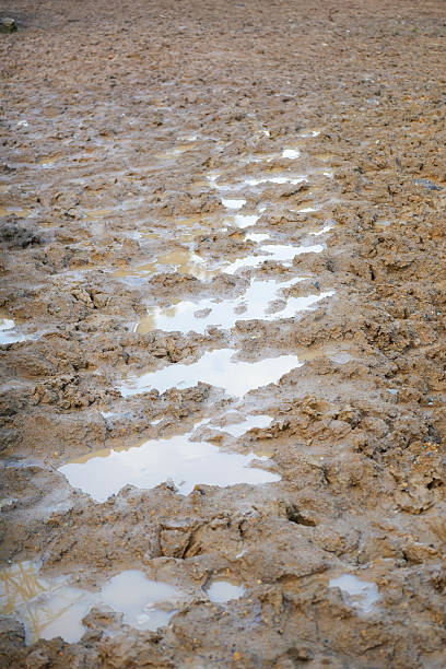 istock Mud Puddles on Dry Terrain with Beautiful Reflections Across the Surface 2225234592