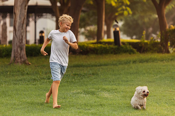 istock Boy joyfully playing chase with a small white dog in a sunny park 2225237952