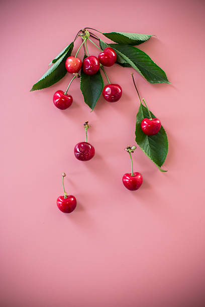 istock Ripe red cherries on pink background from above 2225239284