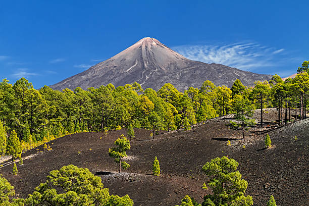 Mount Teide crater in Teide National Park, Tenerife, Canary islands, Spain