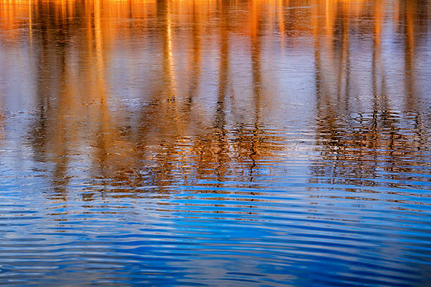 istock Reflection of trees on water surface illuminated by sun. 2225243244