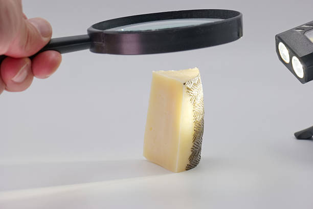 istock Exploring cheese texture and details under magnification with focused lighting equipment 2225247279