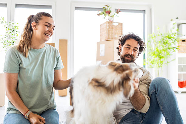 istock Couple Relocating with Their Furry Friend 2225247359