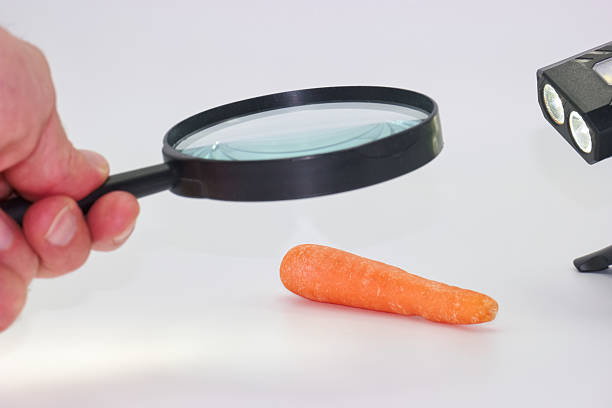 istock Examining a carrot with a magnifying glass on a white background in a well lit environment 2225247415