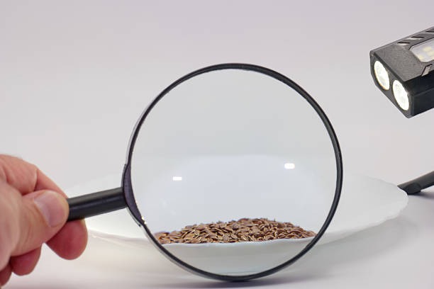 A person holds a magnifying glass above a white plate filled with small seeds while a bright light illuminates the area, enhancing details and textures for observation.