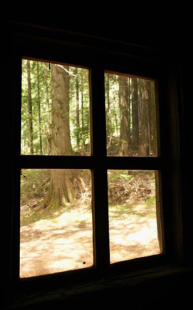 istock Old cabin in the woods 2225250230