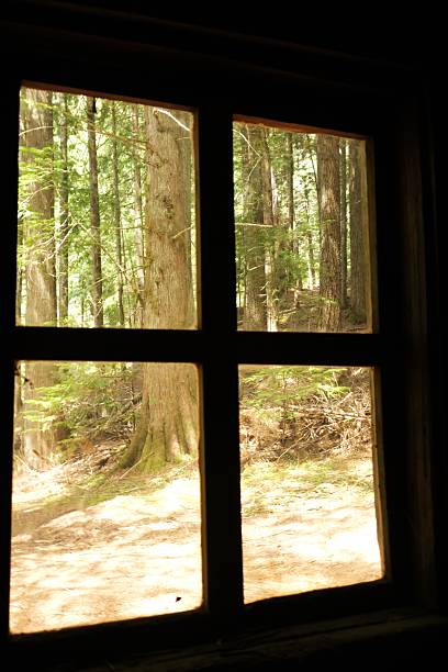 istock Old cabin in the woods 2225250231