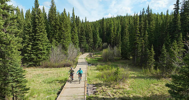 istock Mature couple with e-bicycles ride boardwalk in forest 2225250666