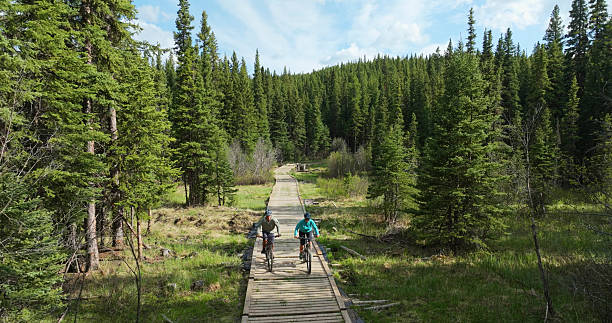 istock Mature couple with e-bicycles ride boardwalk in forest 2225250669