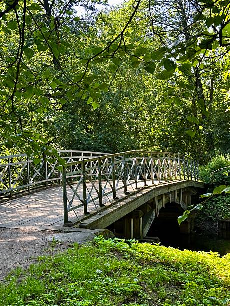 istock Old stone bridge in a shady park 2225254082