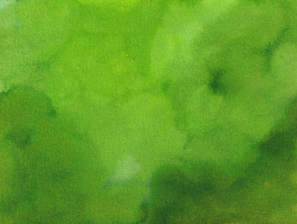 istock Green Watercolor Background Painting 2225254346