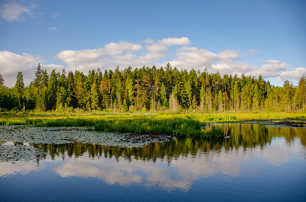 istock Serenity at Beaver Lake 2225255210