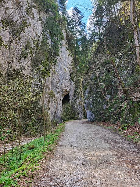 istock Mountain,  beautiful nature wild 2225257918