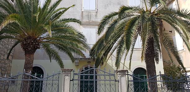 Palm trees in front of Mediterranean stone house, wide angle, close up