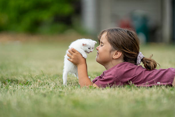 istock Child Interacting Playfully with a White Kitten in a Peaceful Outdoors Setting 2225260715