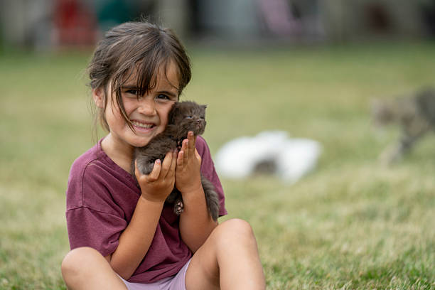 istock Young Girl Holding a Kitten Outdoors on a Sunny Day 2225260716