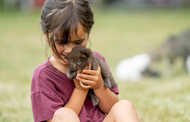 istock Young Girl Tenderly Holding a Fluffy Kitten Outdoors on a Sunny Day 2225260737