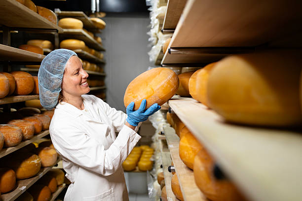 istock Working in cheese production factory. 2225262815