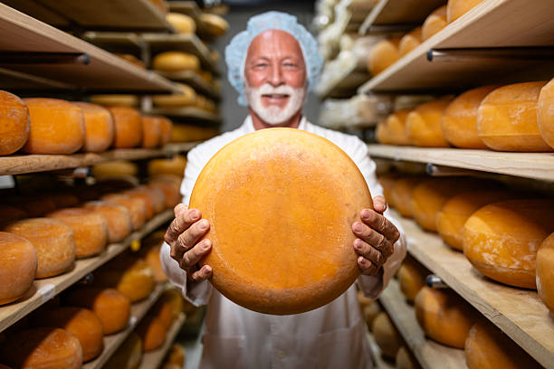 istock Production of high quality cheese. 2225262853