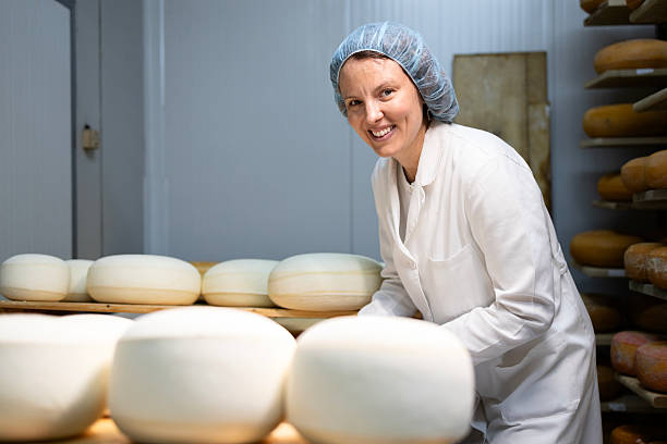 istock Production of high quality mozzarella cheese. 2225262913