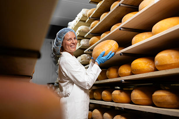 istock Production of cheese. 2225262939