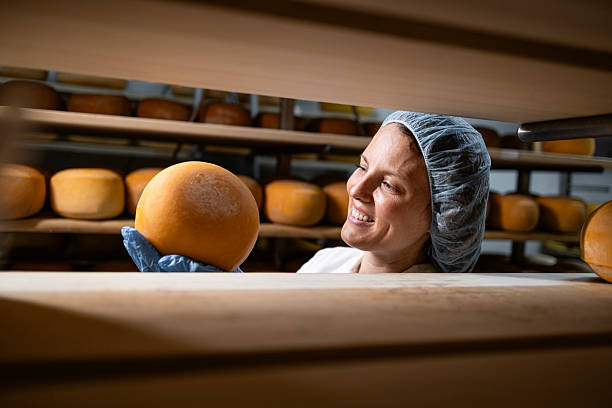 istock Production of premium quality cheese. 2225263027