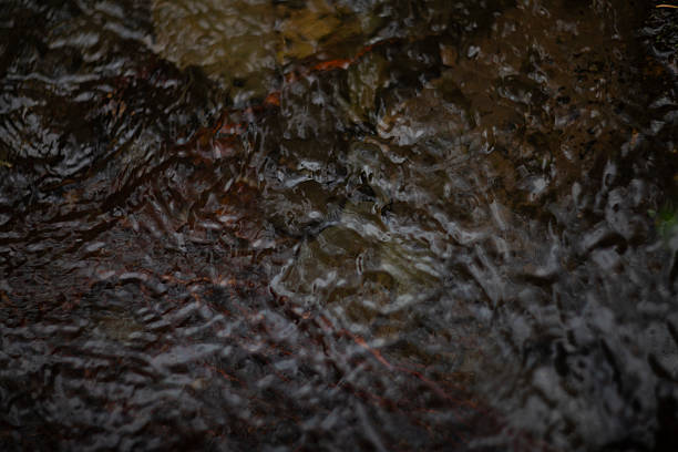 Closeup of raindrops creating ripples on dark water, beautifully capturing natures serenity and calmness