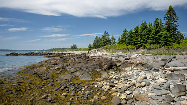 The coastline of Lanes Island on Vinalhaven, Maine