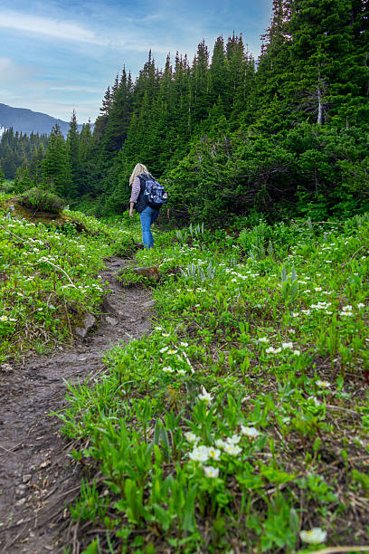 istock Female Hiker on Mountain Trail in Spring 2225276839